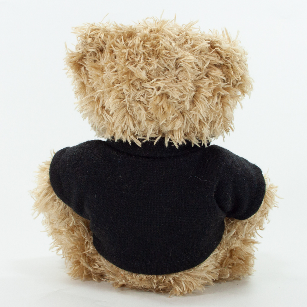 12cm Paw Bear - Mocha - Image 19