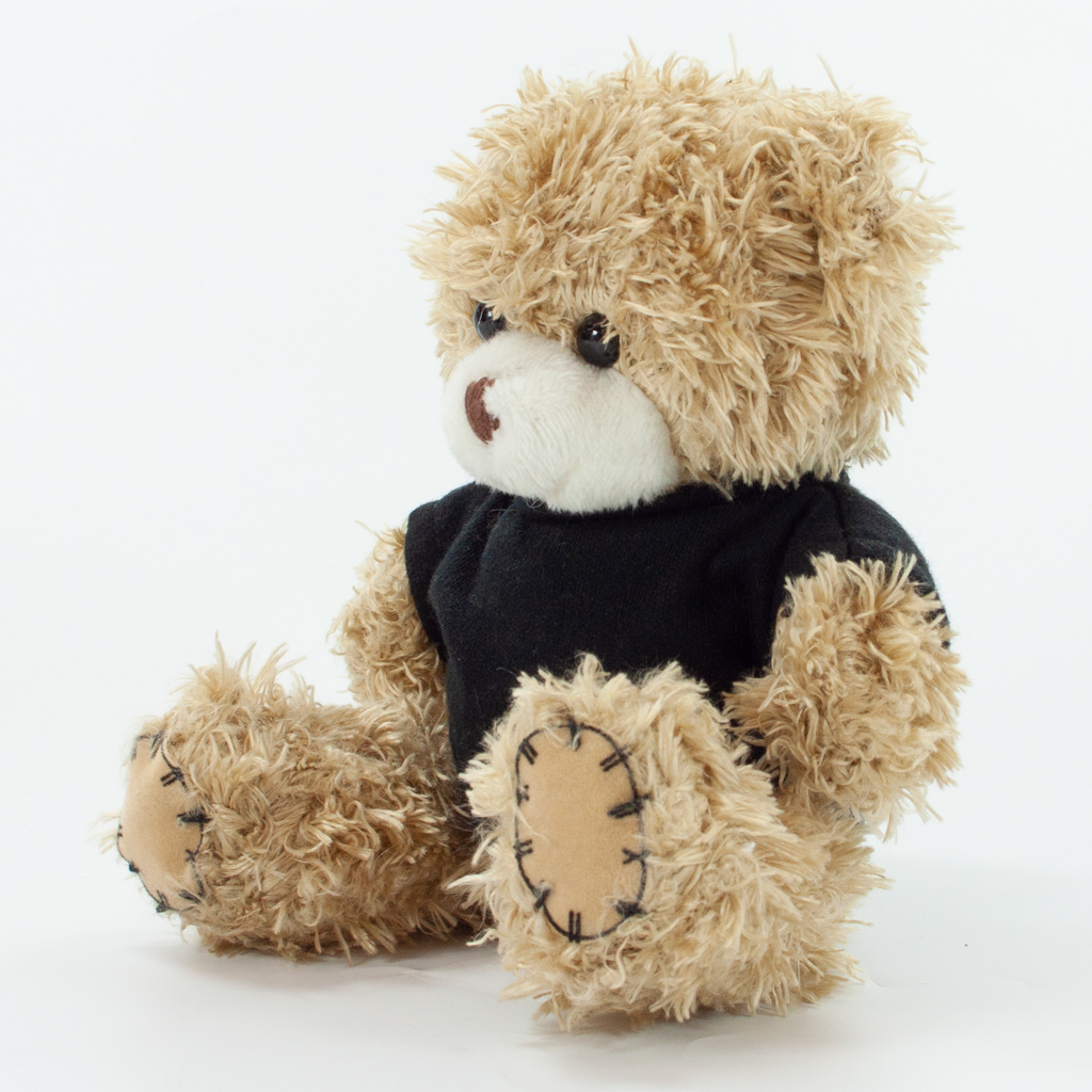 12cm Paw Bear - Mocha - Image 20