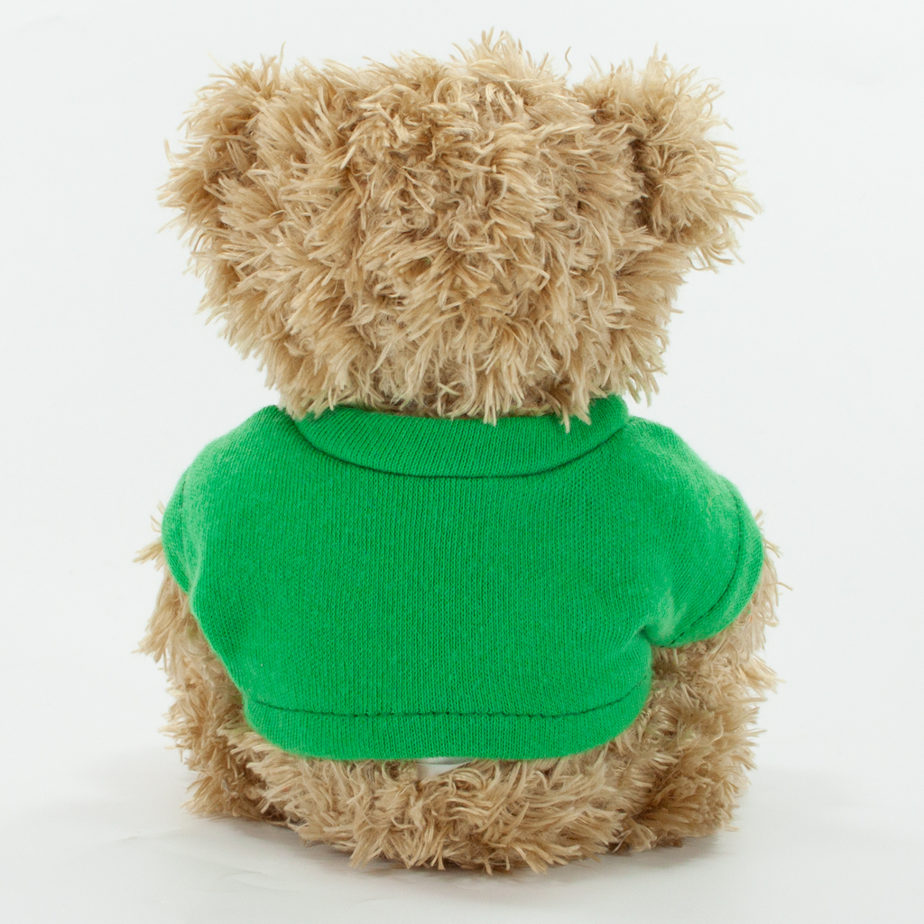 12cm Paw Bear - Mocha - Image 22