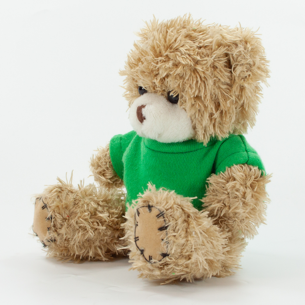 12cm Paw Bear - Mocha - Image 23