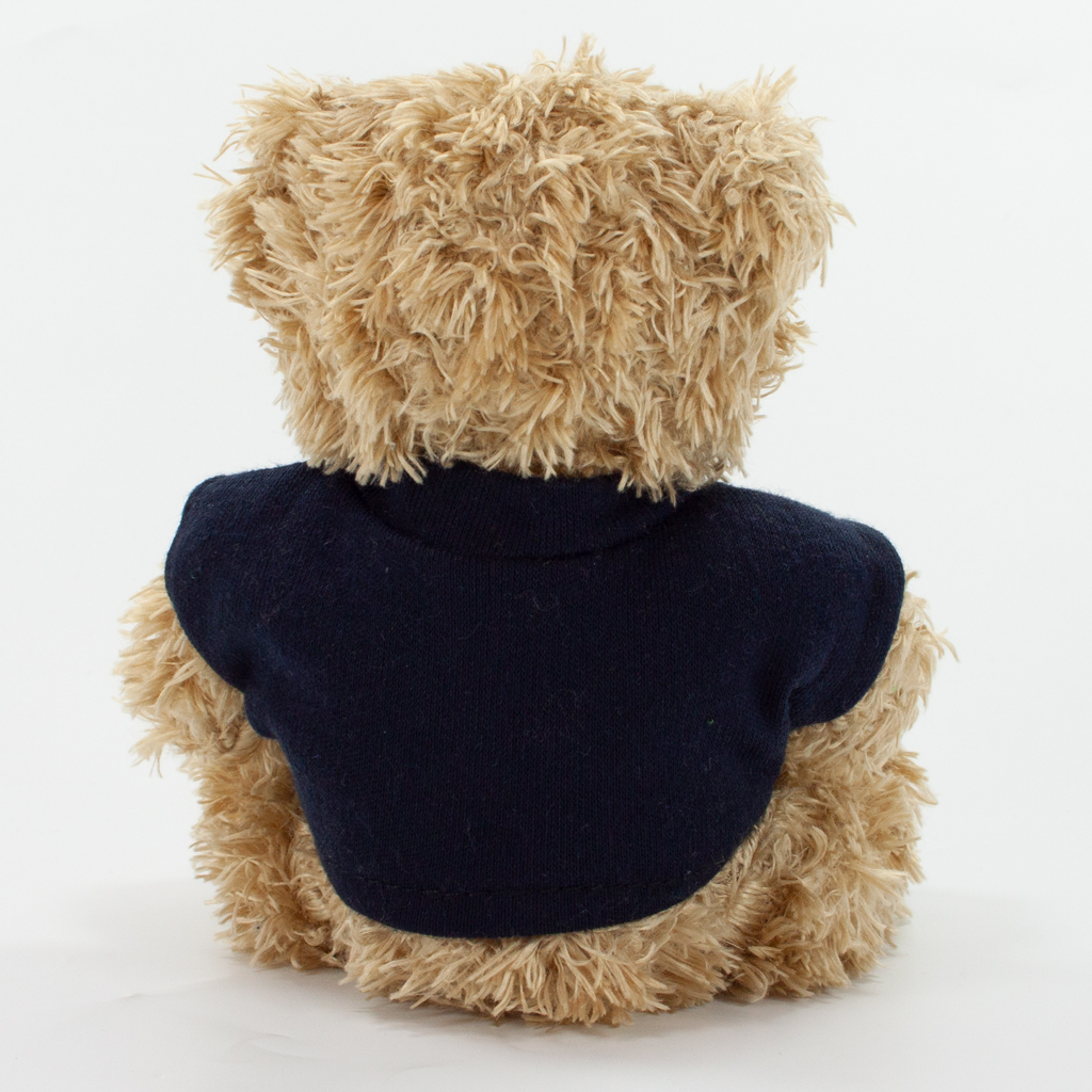 12cm Paw Bear - Mocha - Image 25