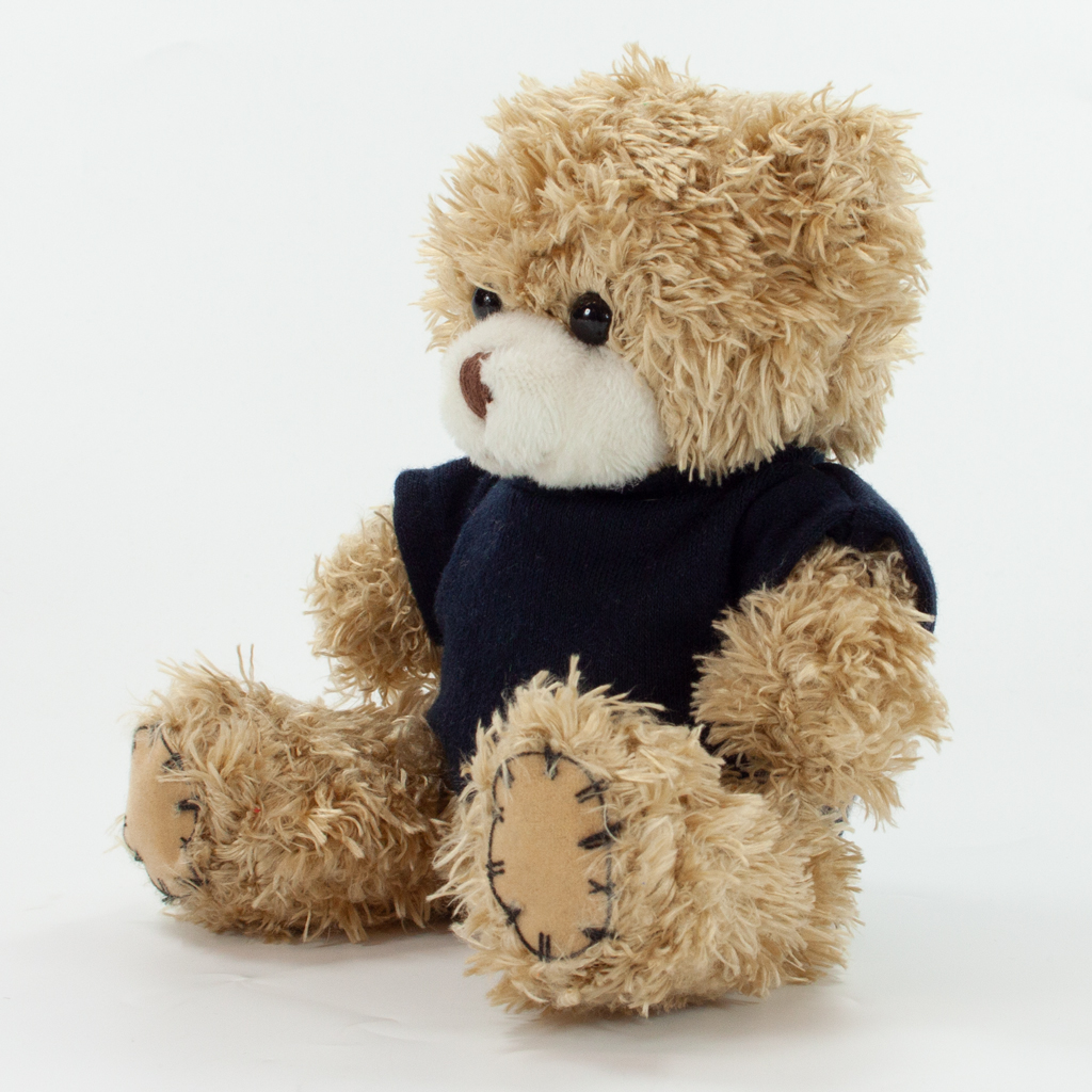 12cm Paw Bear - Mocha - Image 26