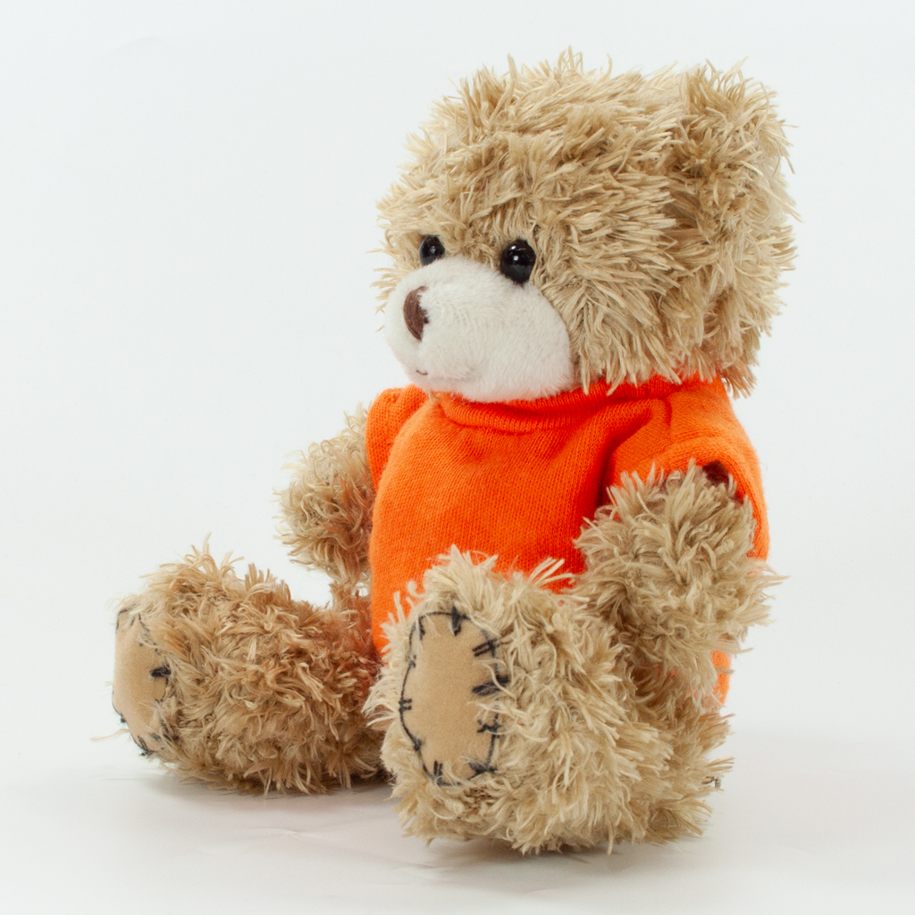 12cm Paw Bear - Mocha - Image 29