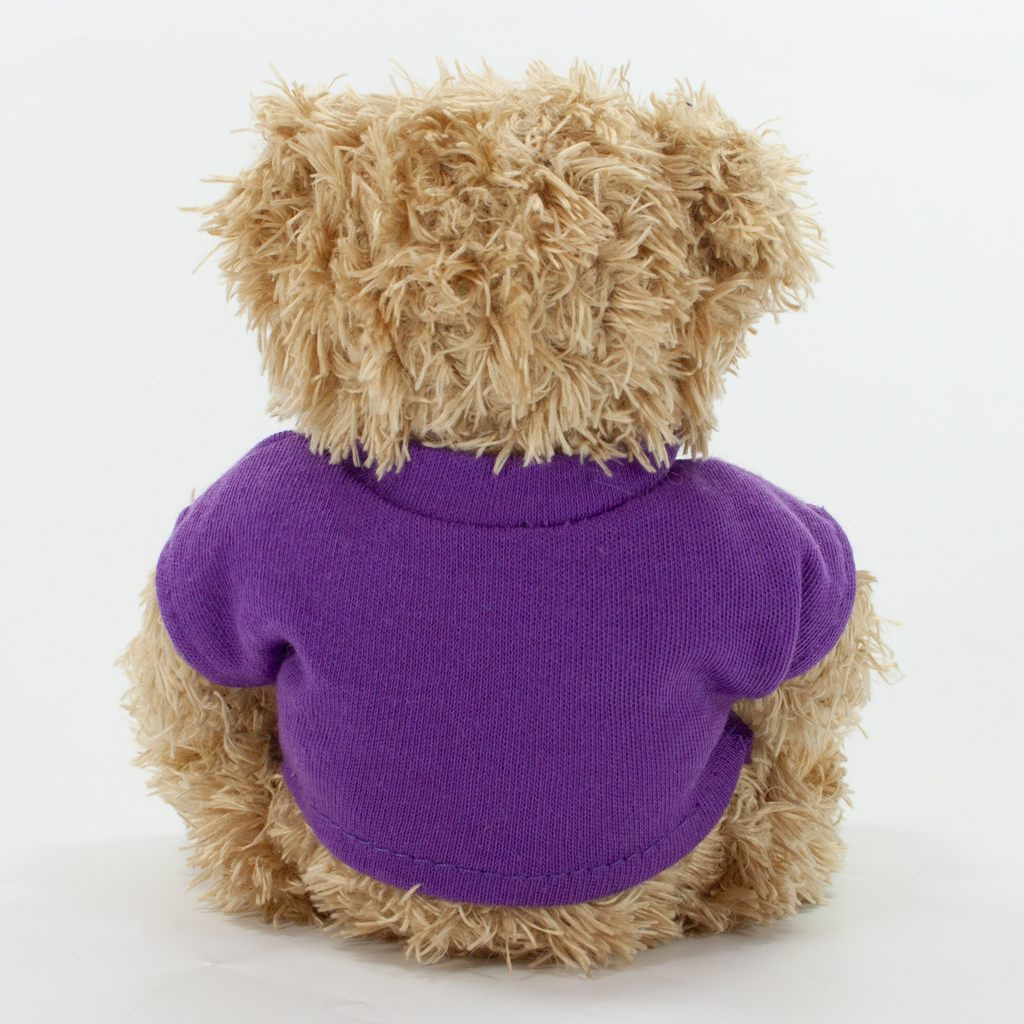 12cm Paw Bear - Mocha - Image 31
