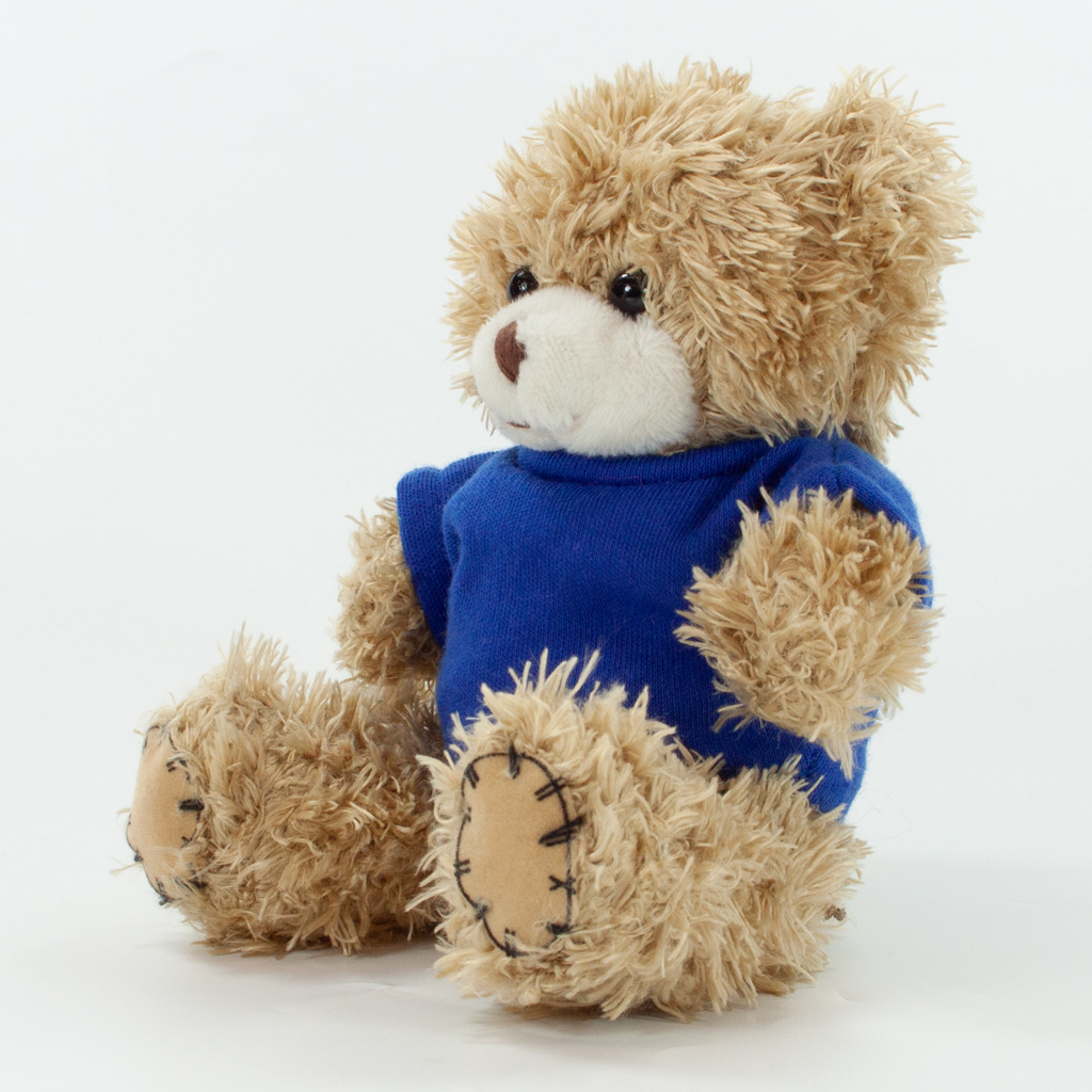 12cm Paw Bear - Mocha - Image 38