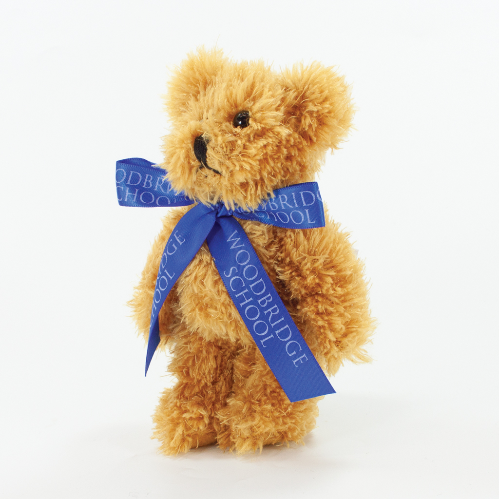 15cm Sparkie Bear - Image 13
