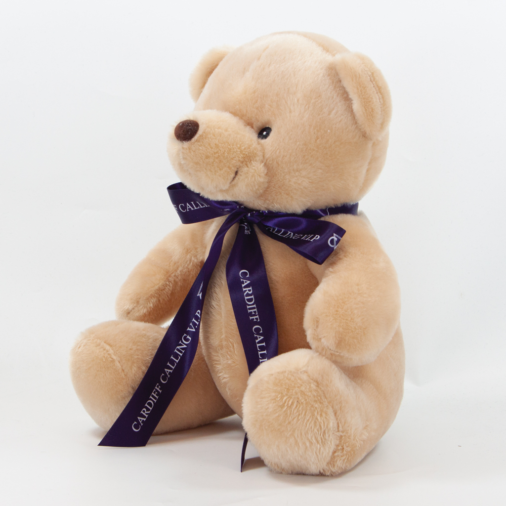 25cm Theo Bear - Image 7
