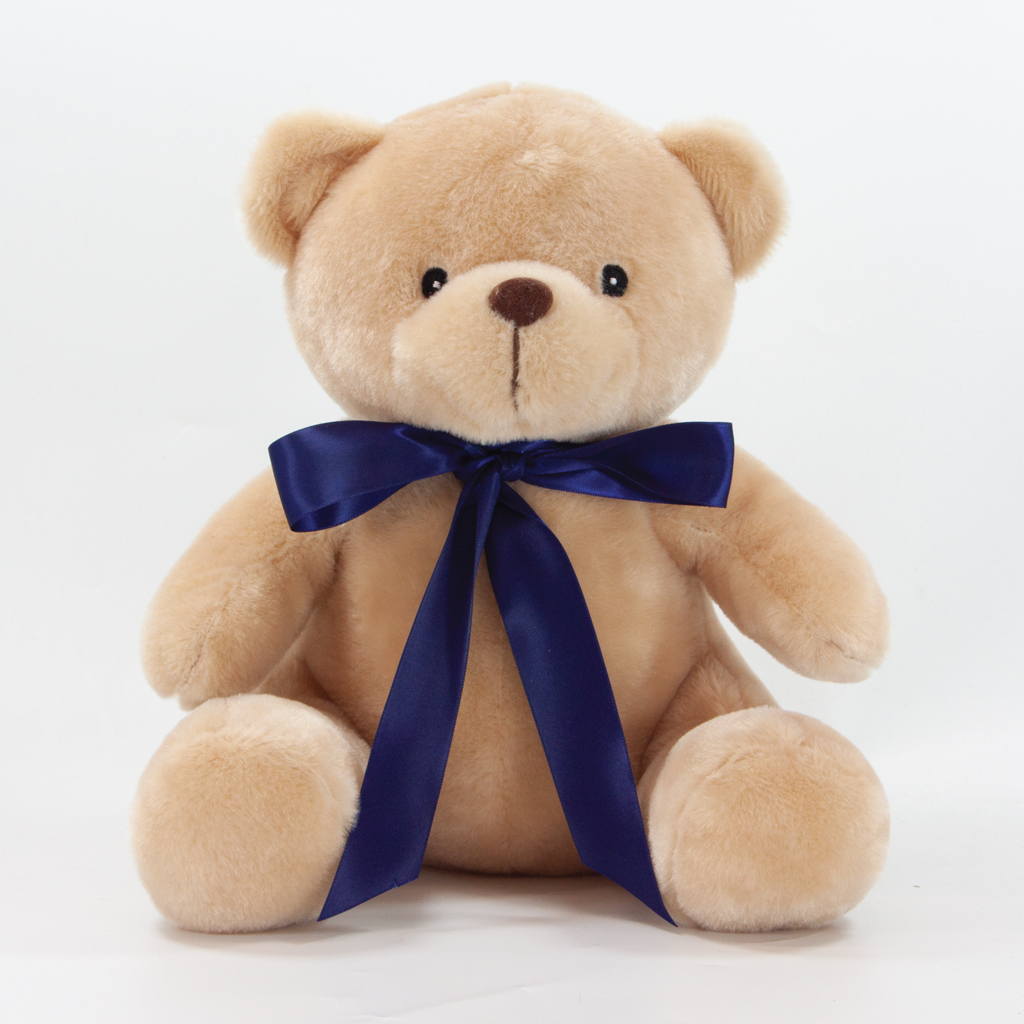 25cm Theo Bear - Image 5