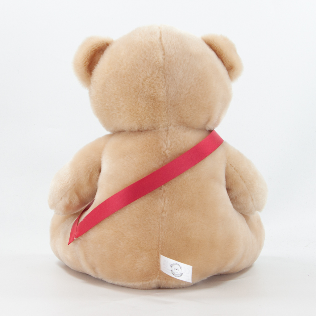 25cm Theo Bear - Image 8