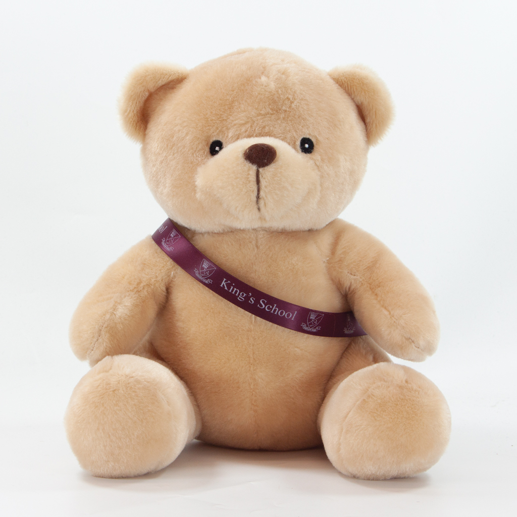 25cm Theo Bear - Image 10