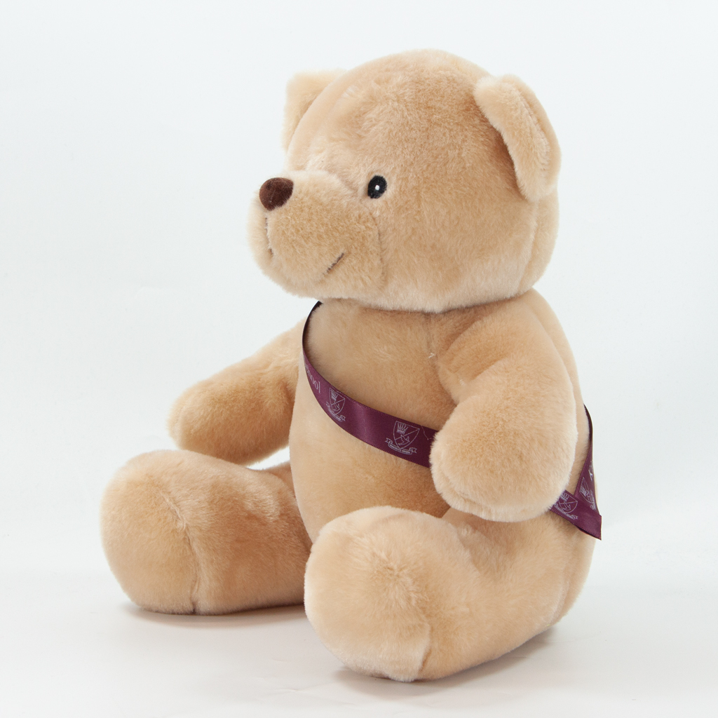 25cm Theo Bear - Image 12