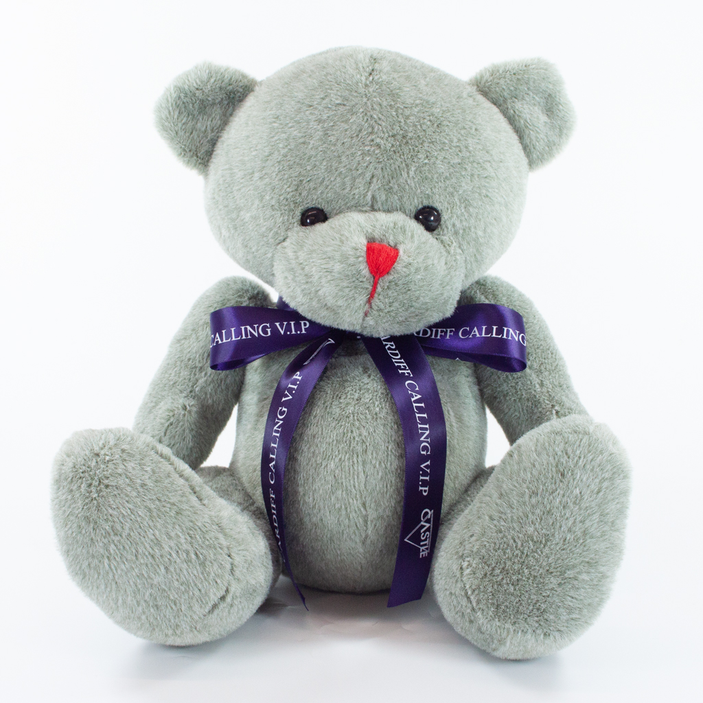 25cm Red Nose Bear - Image 8