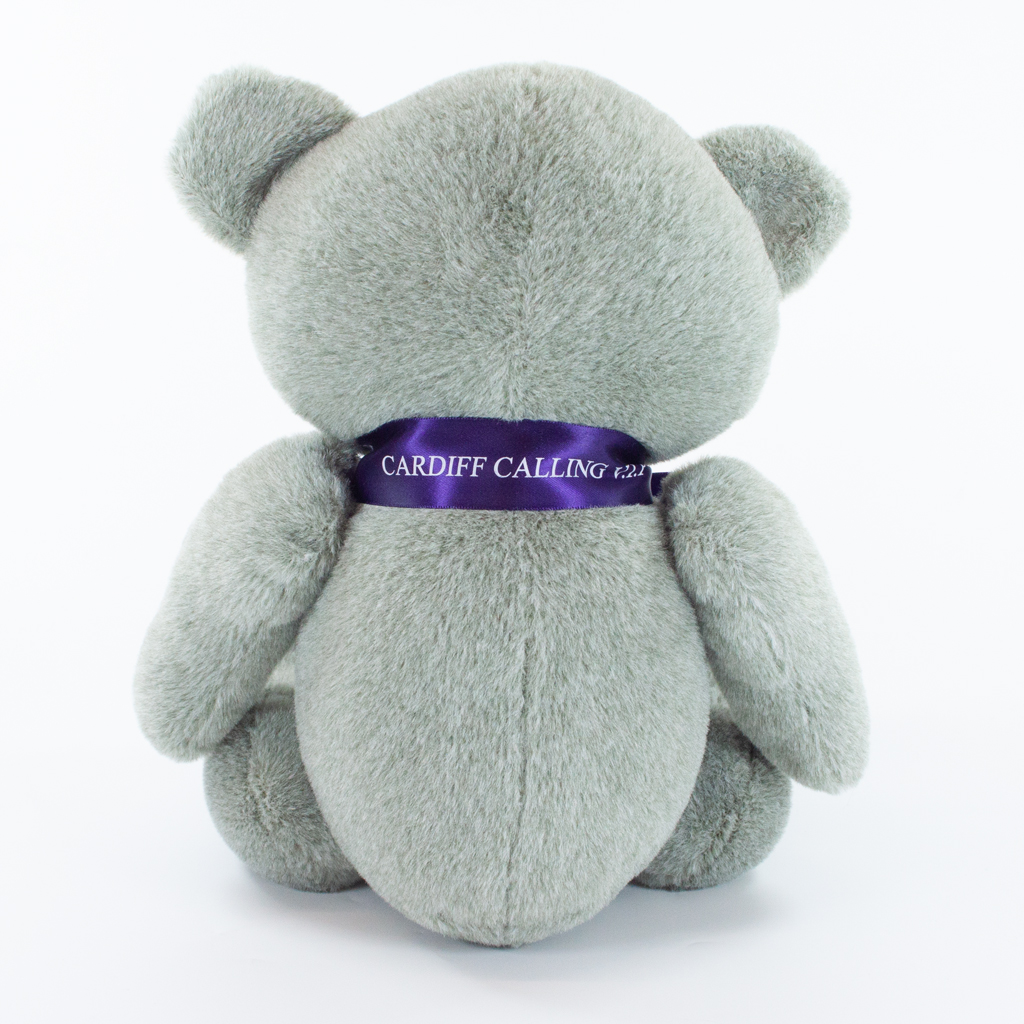 25cm Red Nose Bear - Image 9