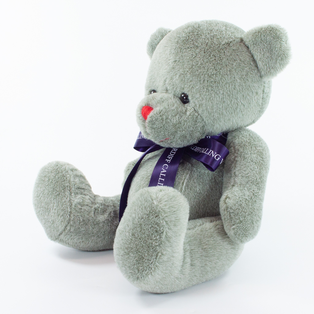 25cm Red Nose Bear - Image 10
