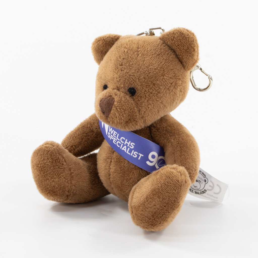 9cm Taylor Keyring Bear - Brown - Image 8