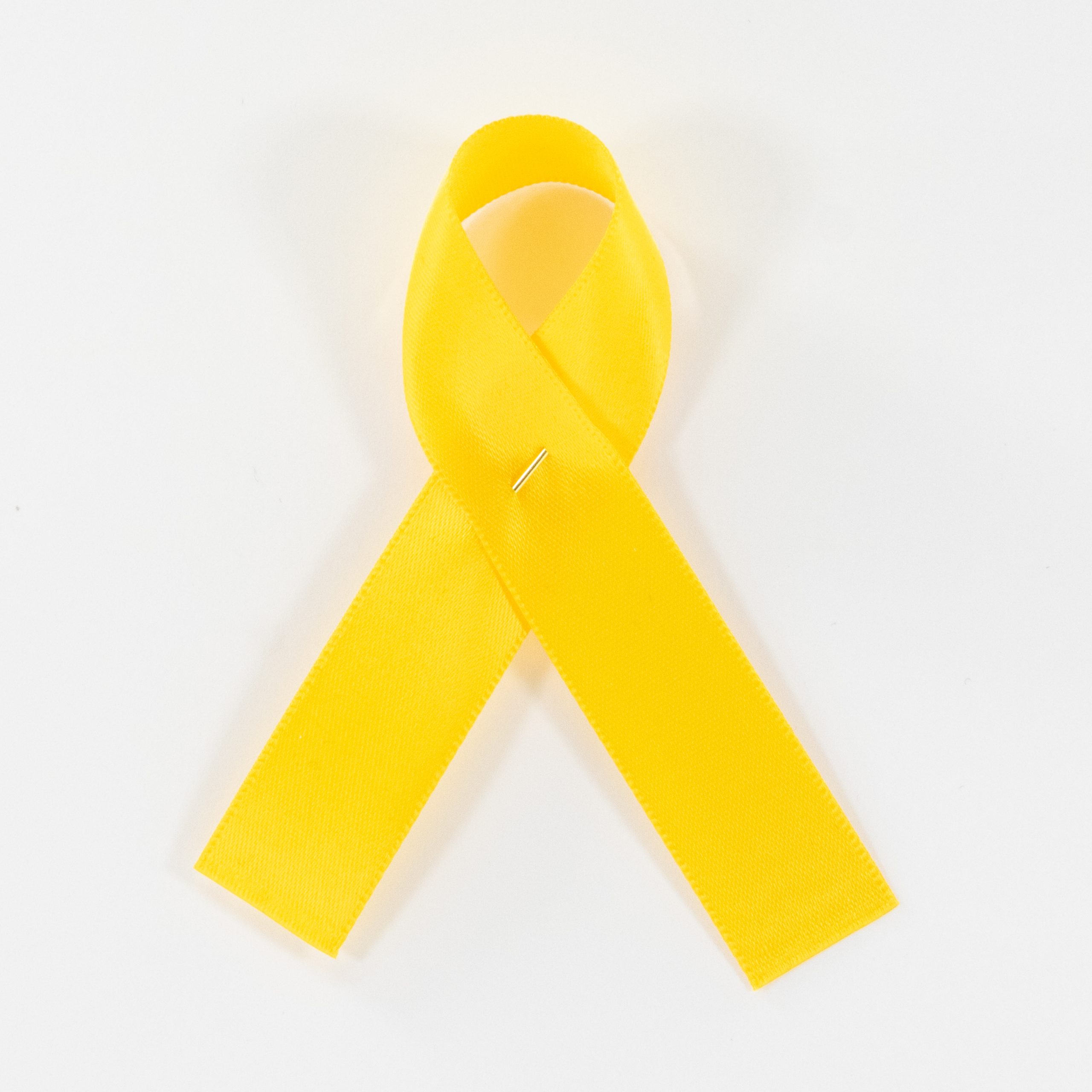 Satin Campaign Ribbon - Sunflower 270 - Image 2